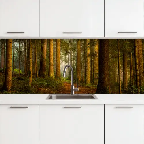 Bos - Natuur - Bomen - Landschap - Bladeren keuken achterwand 2 groot -3d