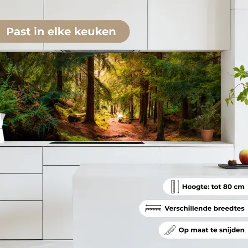 Bos - Pad - Bomen - Groen - Zon - Natuur keuken achterwand 2 middel -sfeer4_NL