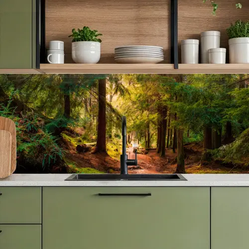 Bos - Pad - Bomen - Groen - Zon - Natuur keuken achterwand 2 middel -sfeer3