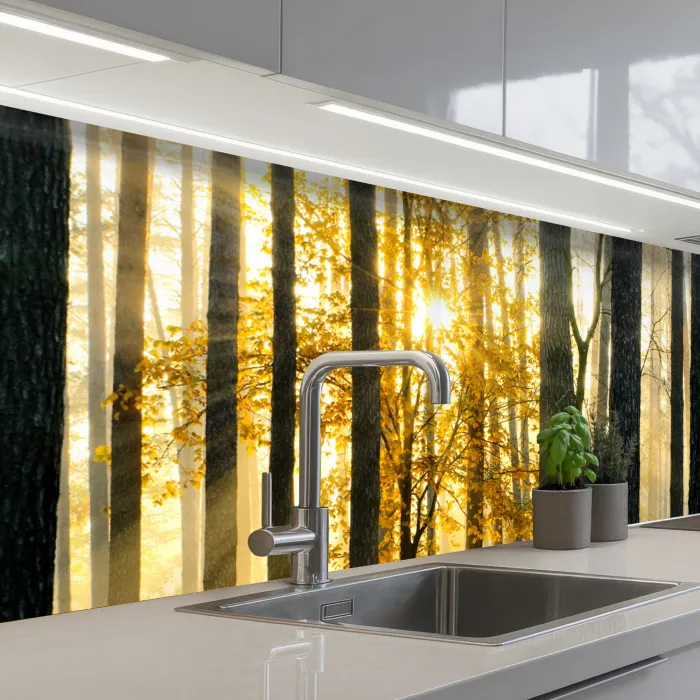 Bos - Zon - Bomen - Gras - Landschap - Natuur keuken achterwand 2 groot -3d_schuin