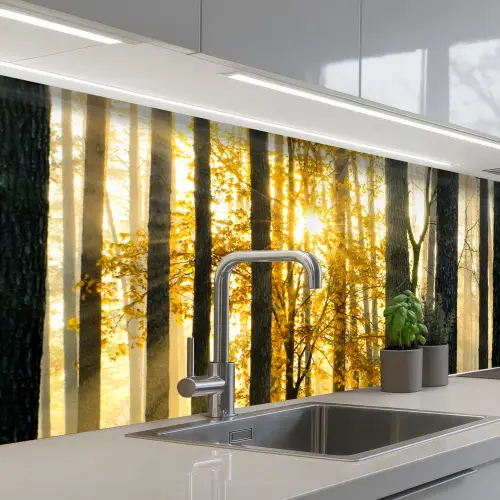 Bos - Zon - Bomen - Gras - Landschap - Natuur keuken achterwand 2 groot -3d_schuin