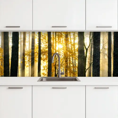 Bos - Zon - Bomen - Gras - Landschap - Natuur keuken achterwand 2 groot -3d