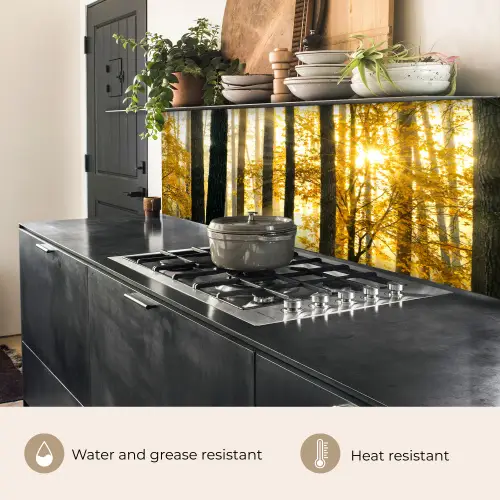 Bos - Zon - Bomen - Gras - Landschap - Natuur keuken achterwand 2 groot -usp_EN