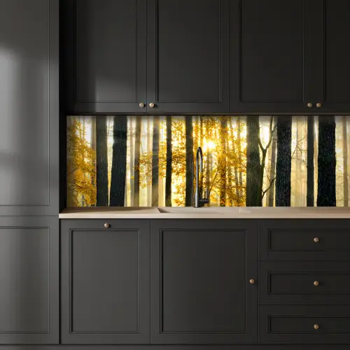 Bos - Zon - Bomen - Gras - Landschap - Natuur keuken achterwand 2 groot -sfeer1