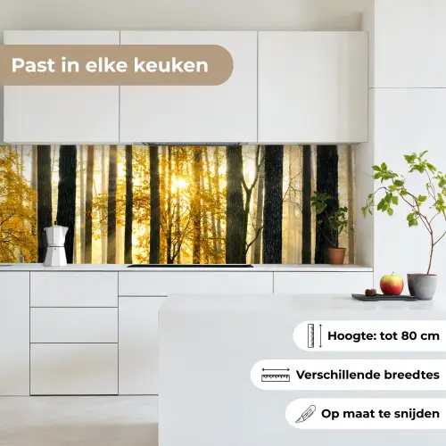 Bos - Zon - Bomen - Gras - Landschap - Natuur keuken achterwand 2 groot -sfeer4_NL