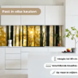 Bos - Zon - Bomen - Gras - Landschap  - Natuur keuken achterwand 2 groot -sfeer4_NL