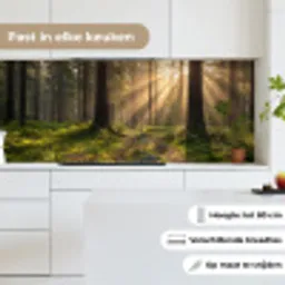 Bos - Zonlicht - Gras keuken achterwand 2 middel -sfeer4_NL