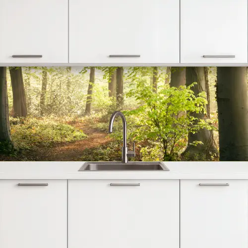Bos - Bomen - Pad - Zon - Planten - Bladeren - Natuur keuken achterwand 2 groot -3d