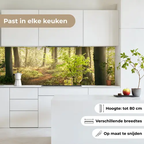 Bos - Bomen - Pad - Zon - Planten - Bladeren - Natuur keuken achterwand 2 groot -sfeer4_NL