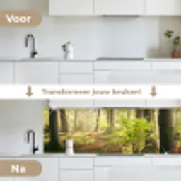 Bos - Bomen - Pad - Zon - Planten - Bladeren - Natuur keuken achterwand 2 groot -voor-na_NL