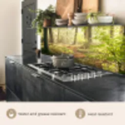 Bos - Bomen - Pad - Zon - Planten - Bladeren - Natuur keuken achterwand 2 groot -usp_EN