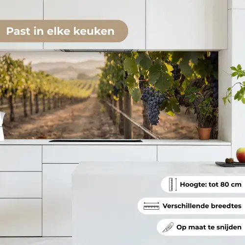 Druiven - Wijngaard - Zonlicht keuken achterwand 2 middel -sfeer4_NL