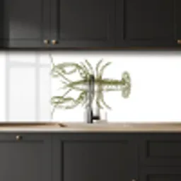 Groen - Kreeft - Wit keuken achterwand 2 middel -sfeer1