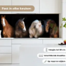 Paard - Dieren - Zwart keuken achterwand 2 middel -sfeer4_NL