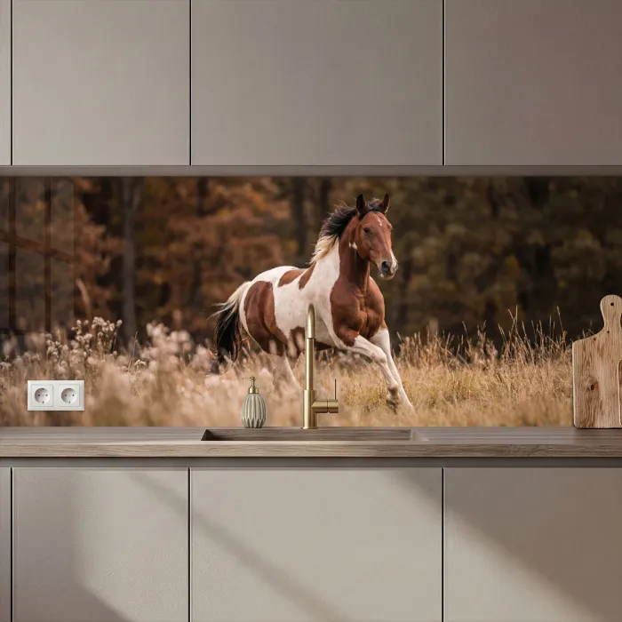 Paard - Bruin - Gras keuken achterwand 2 middel zz_3dshopping