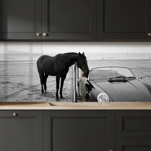 Paard - Auto - Zwart - Wit keuken achterwand 2 middel -sfeer1