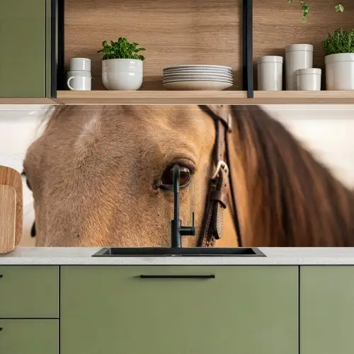 Paard - Oog - Bruin keuken achterwand 2 middel -sfeer3