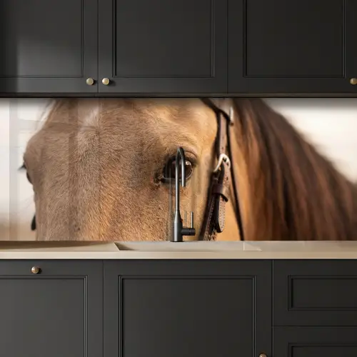 Paard - Oog - Bruin keuken achterwand 2 middel -sfeer1