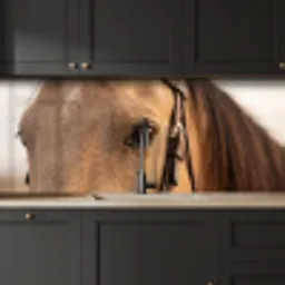 Paard - Oog - Bruin keuken achterwand 2 middel -sfeer1