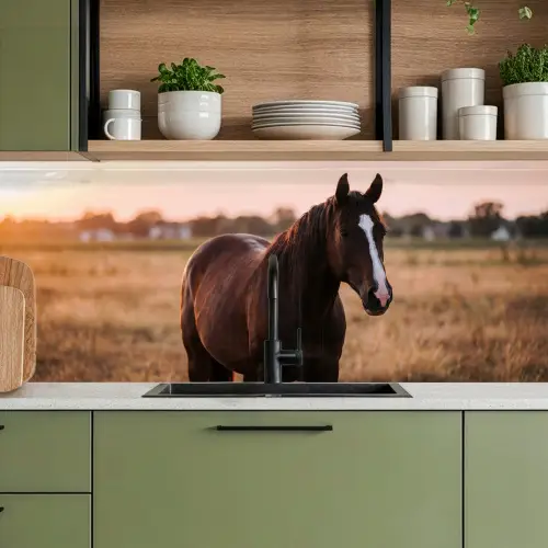Paard - Zonsondergang - Bruin keuken achterwand 2 middel -sfeer3