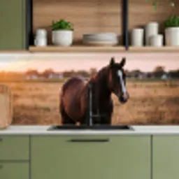 Paard - Zonsondergang - Bruin keuken achterwand 2 middel -sfeer3