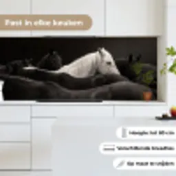Paarden - Zwart - Wit - Kudde keuken achterwand 2 middel -sfeer4_NL