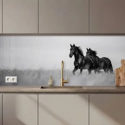 Paarden - Gras - Zwart - Wit keuken achterwand 2 middel zz_3dshopping