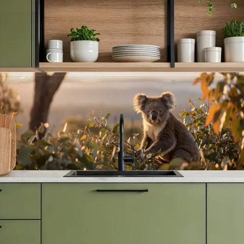 Koala - Bladeren - Ochtendlicht keuken achterwand 2 middel -sfeer3