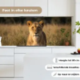Leeuwin - Gras - Geel keuken achterwand 2 middel -sfeer4_NL