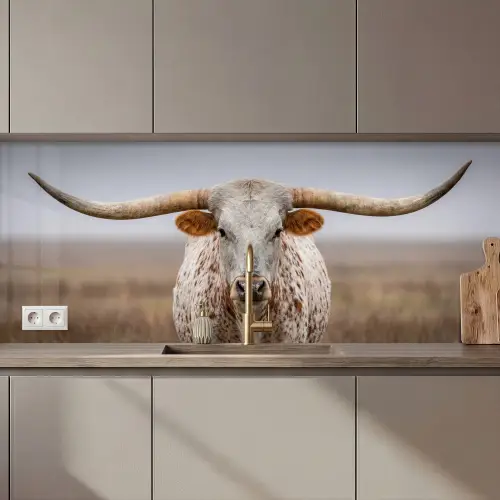 Longhorn - Grasveld - Dier keuken achterwand 2 middel zz_3dshopping