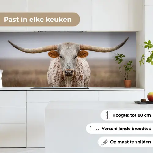 Longhorn - Grasveld - Dier keuken achterwand 2 middel -sfeer4_NL