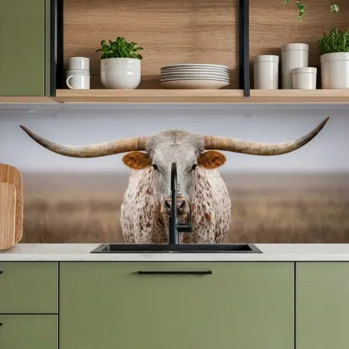 Longhorn - Grasveld - Dier keuken achterwand 2 middel -sfeer3