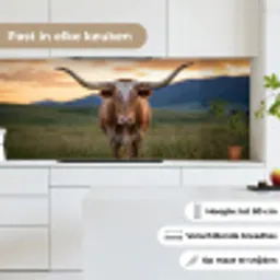 Longhorn - Landschap - Zonsondergang keuken achterwand 2 middel -sfeer4_NL