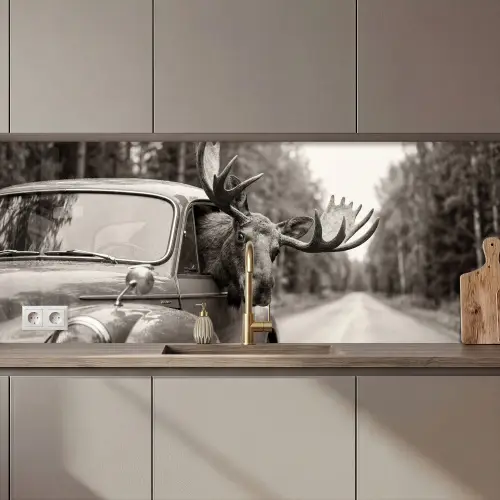 Eland - Auto - Gewei - Zwart - Wit keuken achterwand 2 middel zz_3dshopping
