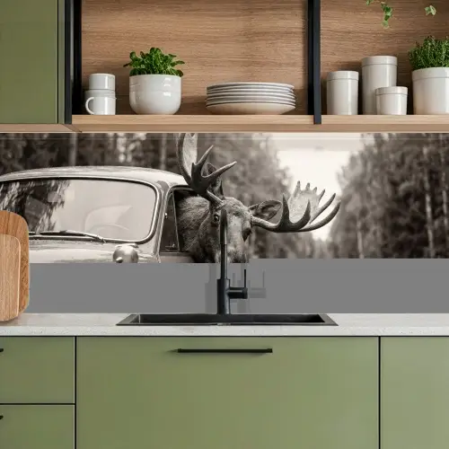 Eland - Auto - Gewei - Zwart - Wit keuken achterwand 2 middel -sfeer3