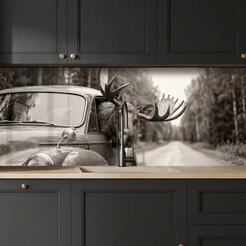 Eland - Auto - Gewei - Zwart - Wit keuken achterwand 2 middel -sfeer1