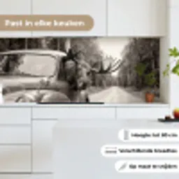 Eland - Auto - Gewei - Zwart - Wit keuken achterwand 2 middel -sfeer4_NL