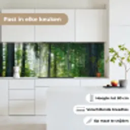 Natuur - Bomen - Bos - Groen - Zon - Gras - Planten keuken achterwand 2 groot -sfeer4_NL