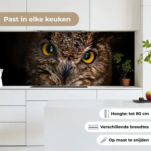 Uil - Dier - Oranje keuken achterwand 2 middel -sfeer4_NL