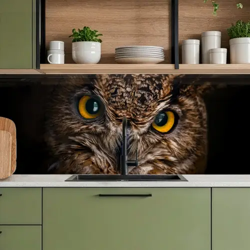 Uil - Dier - Oranje keuken achterwand 2 middel -sfeer3
