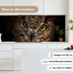 Uil - Dier - Oranje keuken achterwand 2 middel -sfeer4_NL