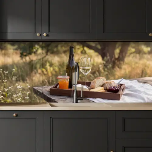 Picknick - Wijn - Kaasplankje keuken achterwand 2 middel -sfeer1