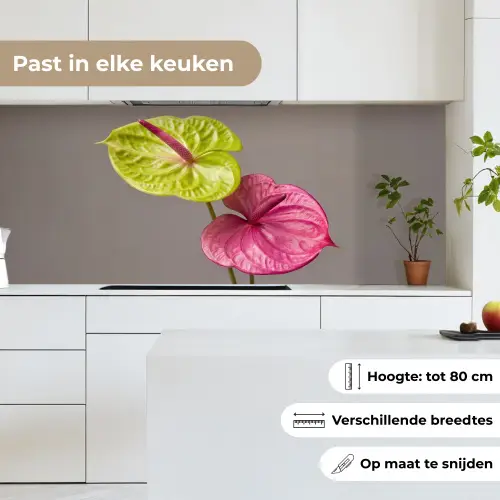 Planten - Anthurium - Groen - Roze keuken achterwand 2 middel -sfeer4_NL