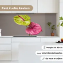 Planten - Anthurium - Groen - Roze keuken achterwand 2 middel -sfeer4_NL