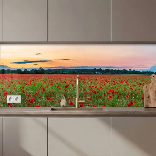 Klaprozen - Landschap - Rood - Bloemen keuken achterwand 2 middel zz_3dshopping