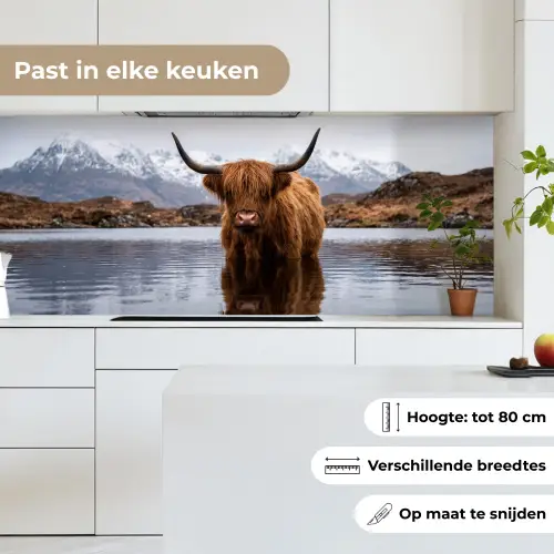 Schotse hooglander - Bruin - Water keuken achterwand 2 middel -sfeer4_NL