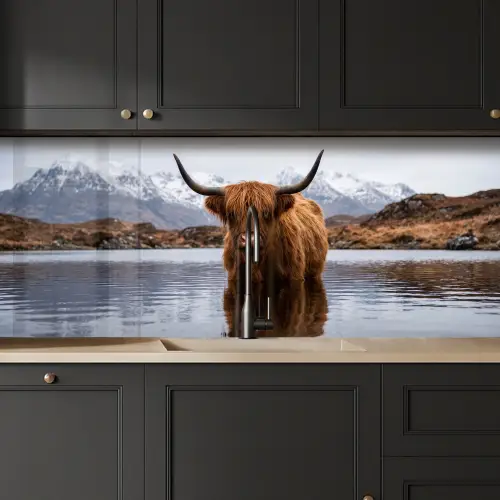 Schotse hooglander - Bruin - Water keuken achterwand 2 middel -sfeer1
