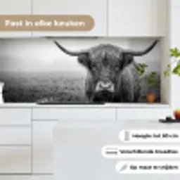 Schotse hooglander - Zwart - Wit - Gras keuken achterwand 2 middel -sfeer4_NL