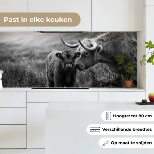 Schotse hooglander - Kalf - Zwart - Wit keuken achterwand 2 middel -sfeer4_NL