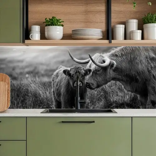 Schotse hooglander - Kalf - Zwart - Wit keuken achterwand 2 middel -sfeer3